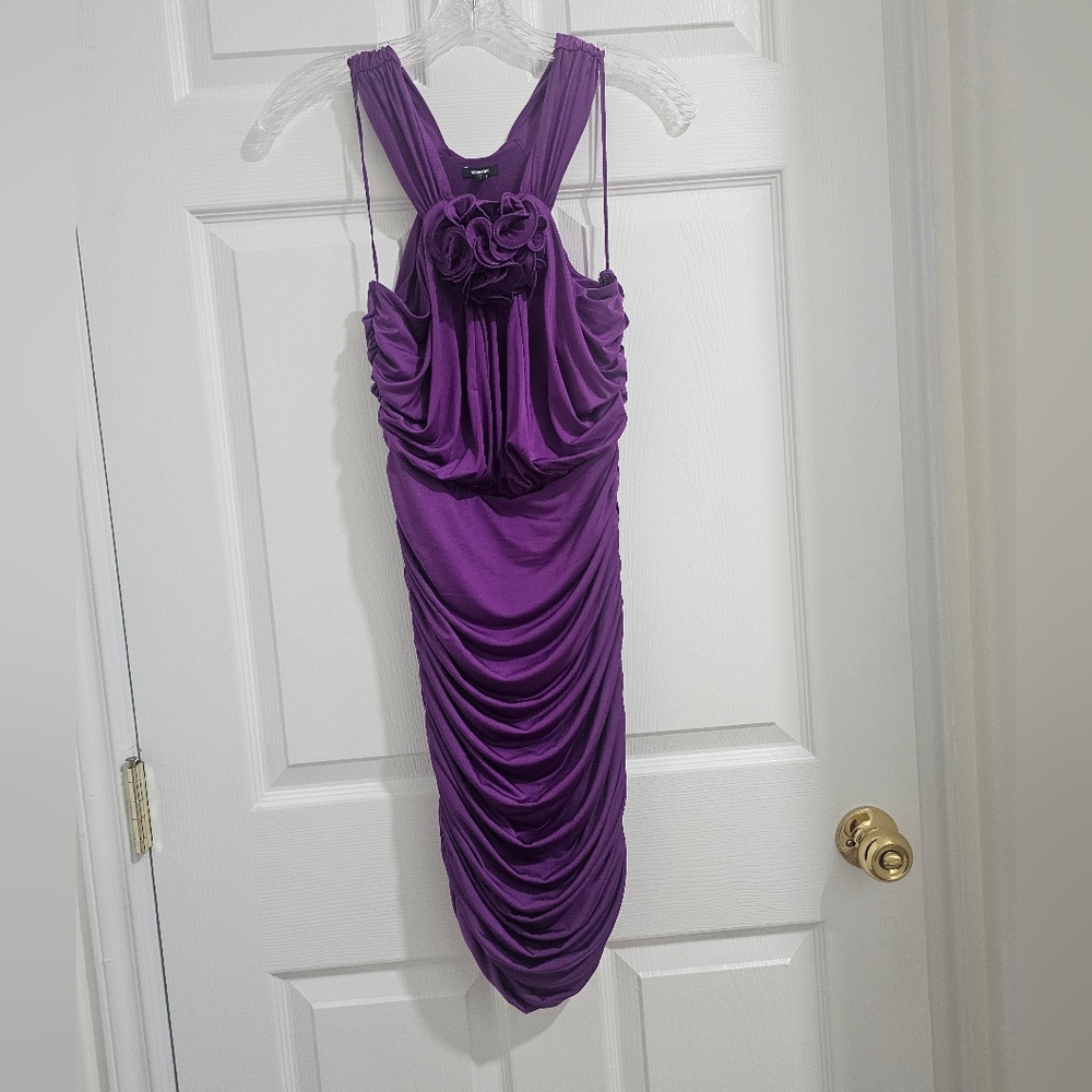 Express Purple Dress